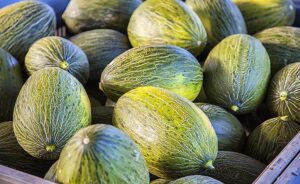 Melón y Sandía