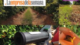 La empresa de la semana