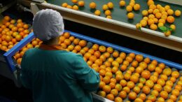 Convenio de Manipulado y Envasado de Cítricos de la Comunitat Valenciana