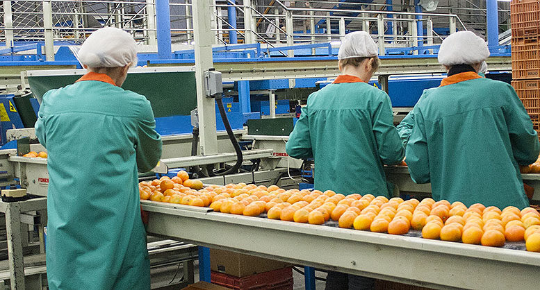 comercialización de productos agrícolas