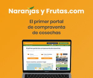 Narnajasyfrutas.com