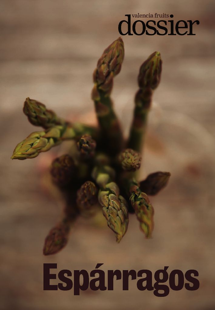 thumbnail of 2930_16032021-páginas-17-28