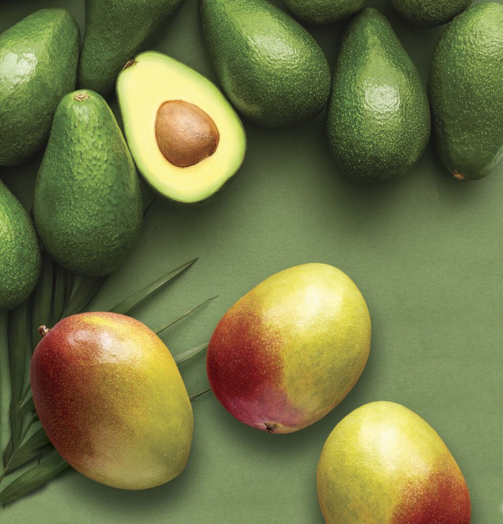 Aguacate Mango Tropicales
