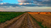 El futuro que espera al agricultor