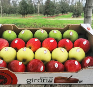 Poma de Girona cosecha 2021