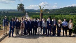 Corte de la naranja 2021