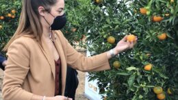 Consellera Agricultura