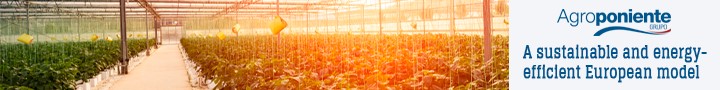 AGROPONIENTE WEB