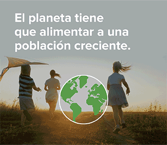 ENTEC EUROCHEM