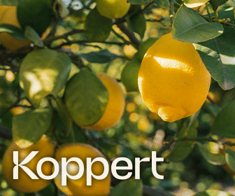 KOPPERT SPICAL