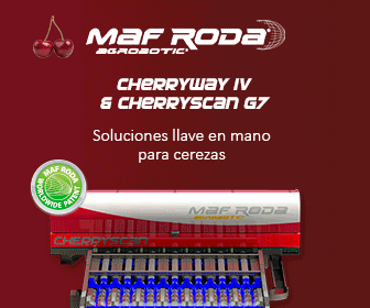 Maf Roda Cherry
