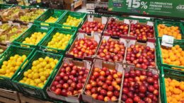 Carrefour ciruela España