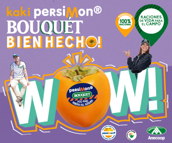 Kaki Persimon 2023 Anecoop