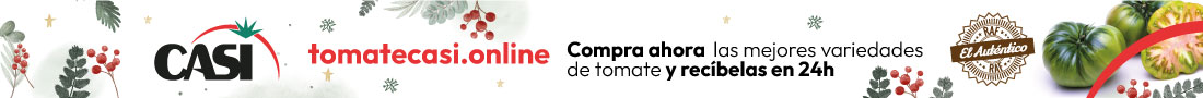 CASI NAVIDAD 2024