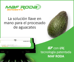 Aguacate Maf Roda