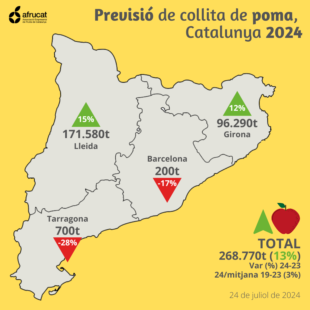 PREVISION MANZANA