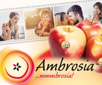 AMBROSIA 2025