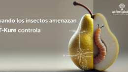 Kiplant Asfertglobal