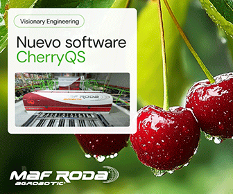 MAF RODA CHERRYQS