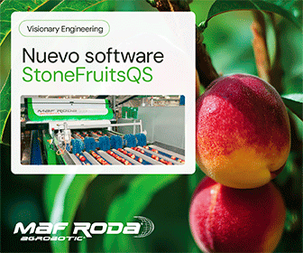 Maf Roda Stone