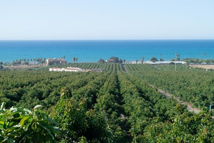 Montosa