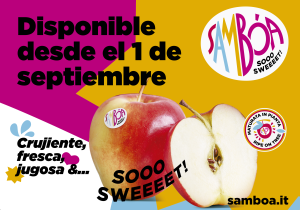 Sambóa promo
