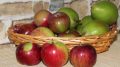 Peras y manzanas