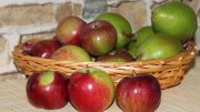 Peras y manzanas