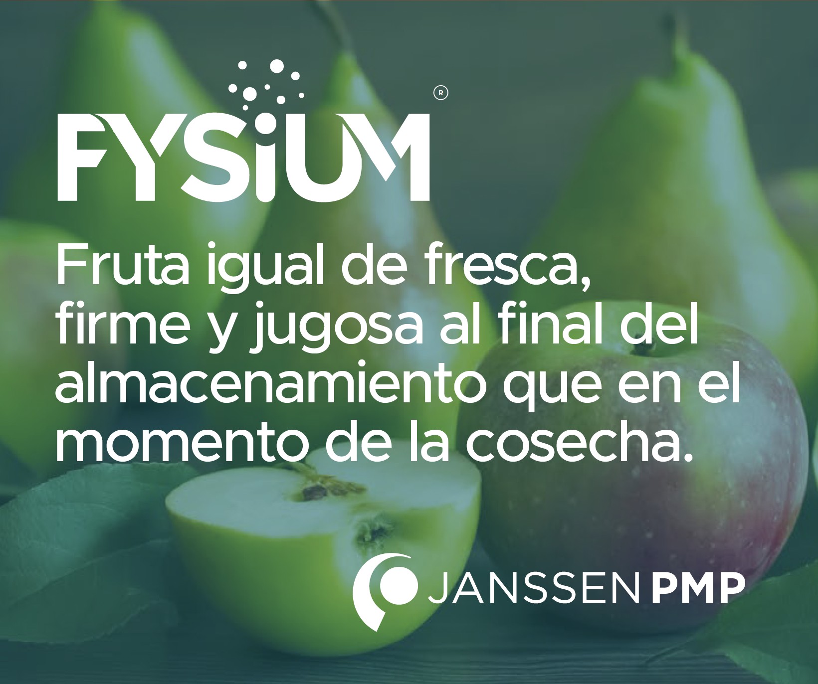 JANSSEN FYSIUM