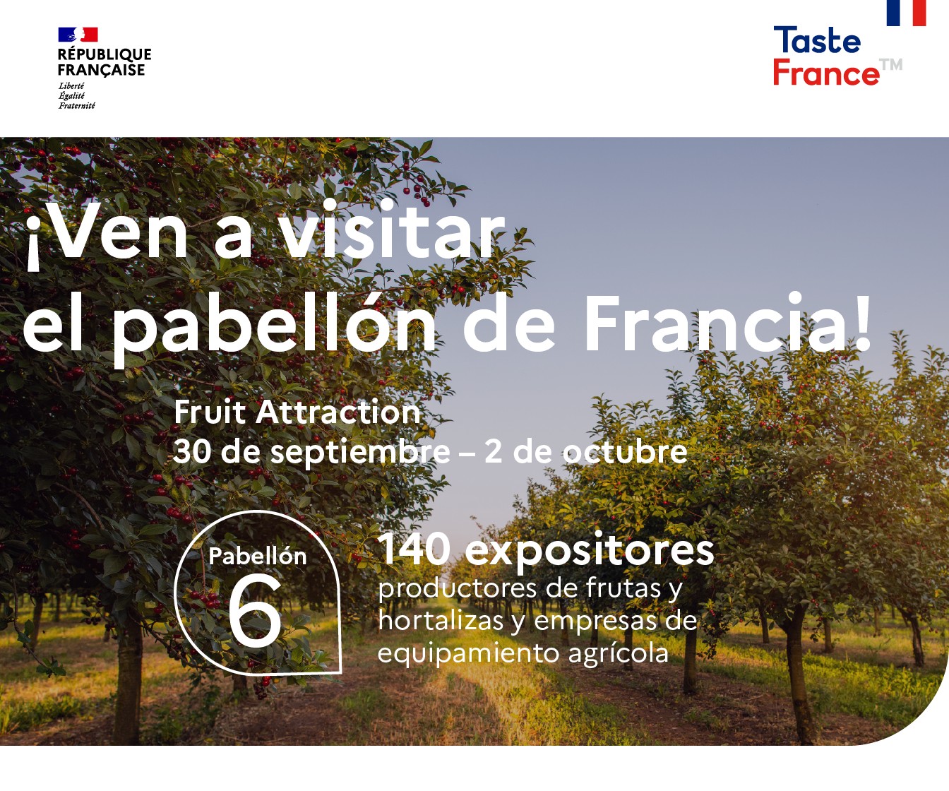 Bussines France FA 25
