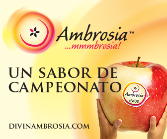 Ambrosia un sabor de campeonato