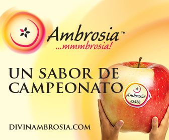 Ambrosia un sabor de campeonato