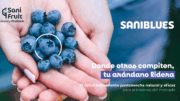 SaniBlues