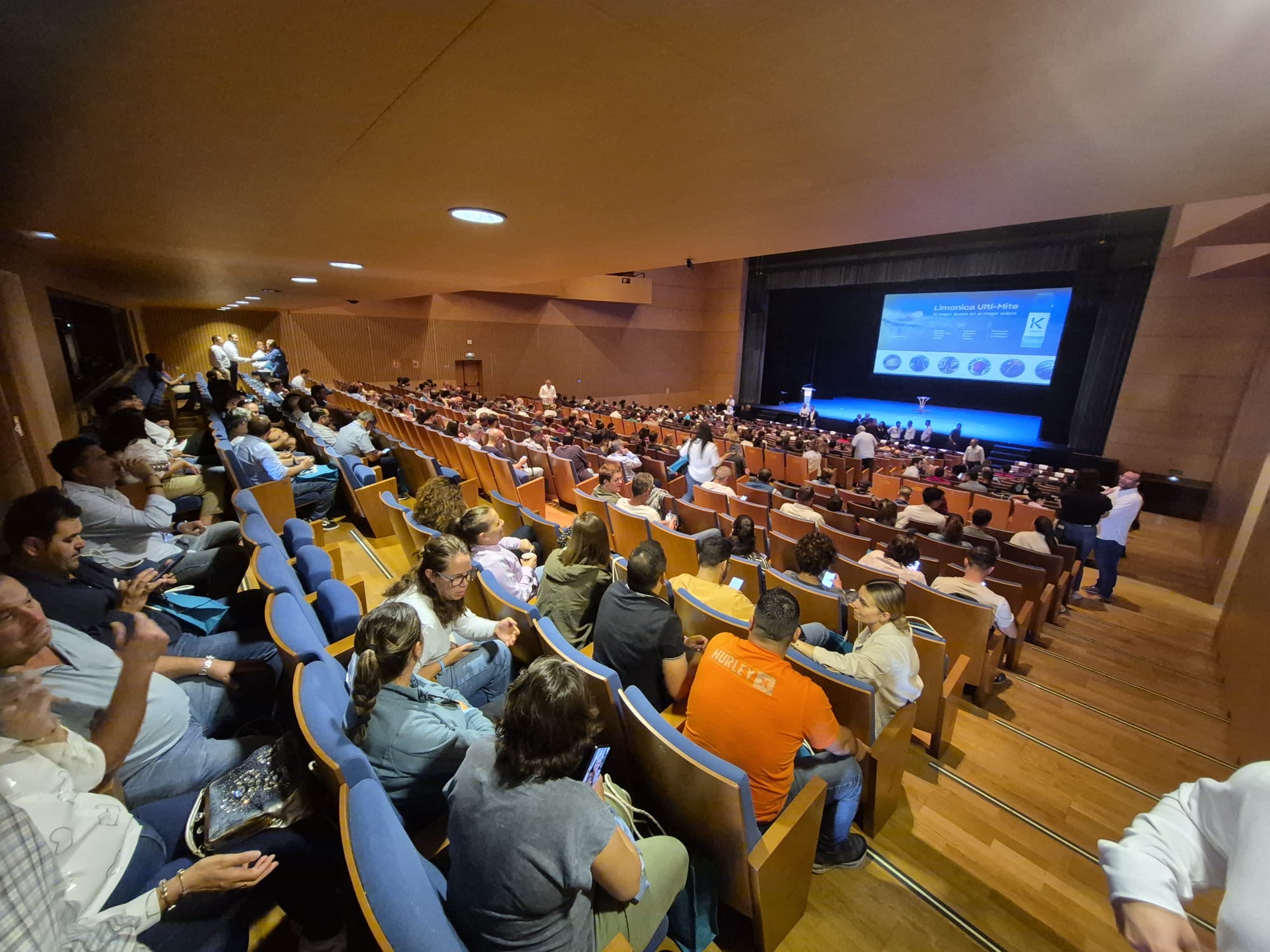 Koppert teatro