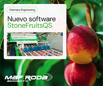Maf Roda Stone
