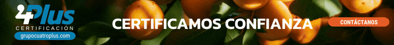 GRUPO 4PLUS
