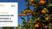 Informe NyF